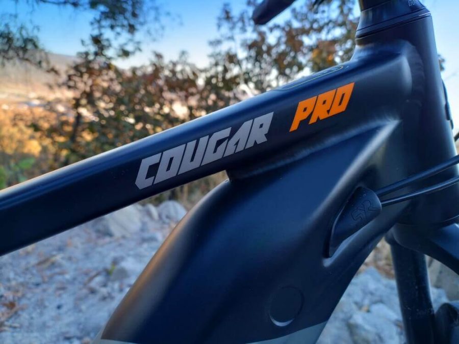 Cougar Pro - Image 2